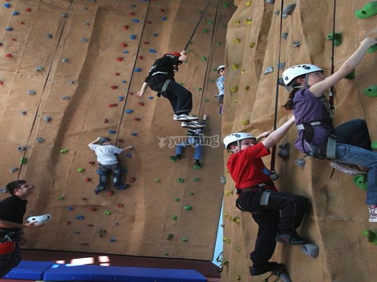 Twin Peaks Indoor Rock Climbing, prices and bookings 2024